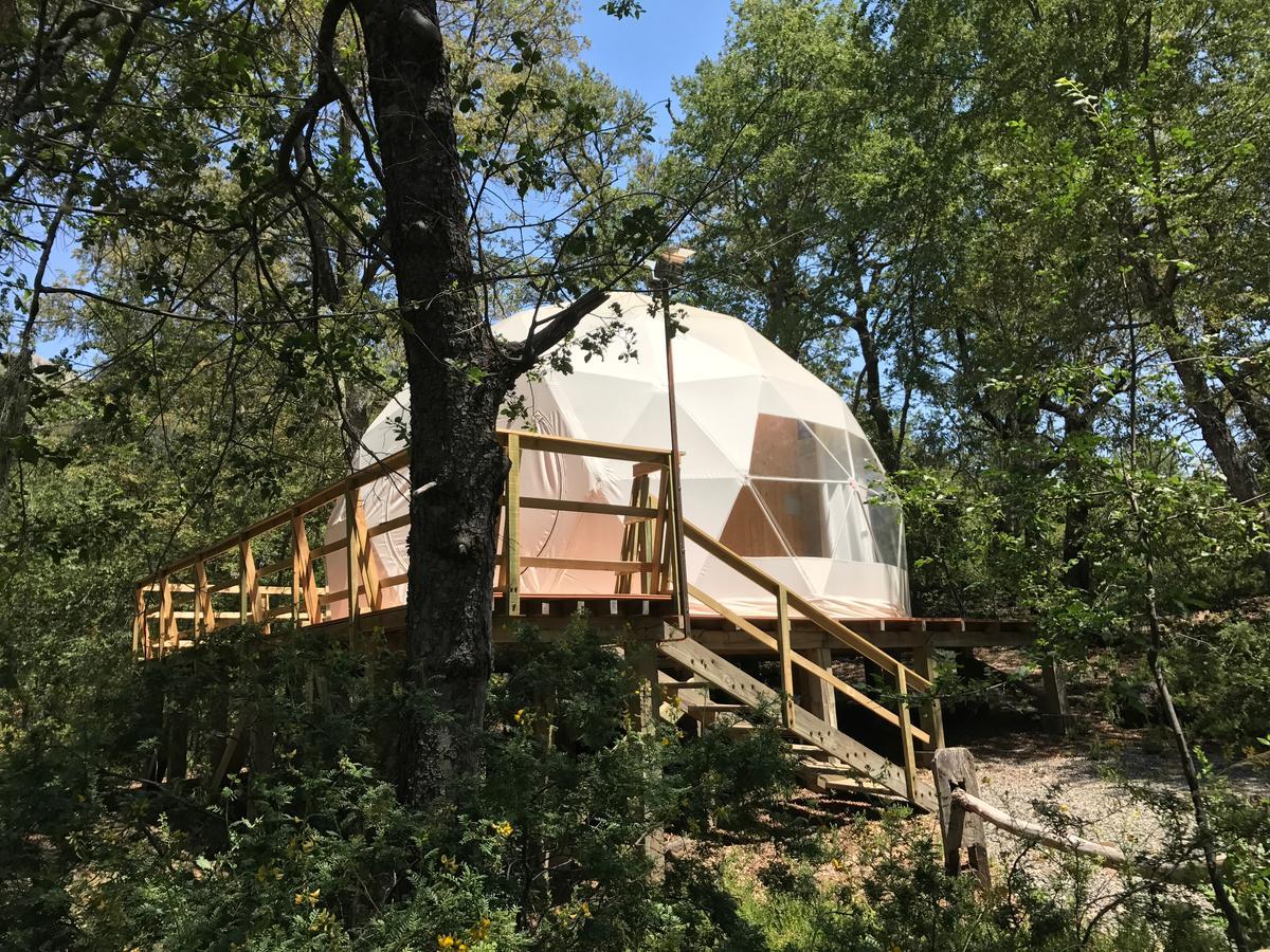 Glamping Domos Treepod Hotel Las Trancas Bagian luar foto